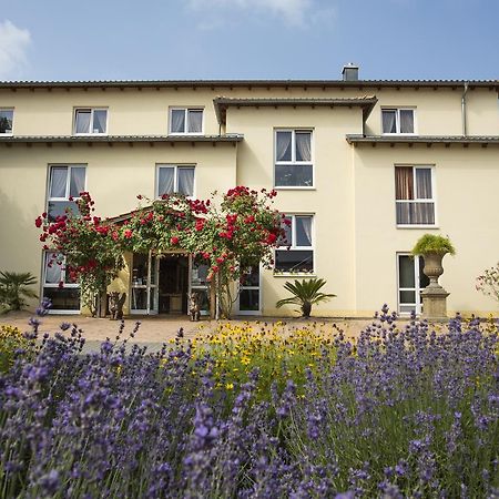 Mediterran Hotel Juwel Karlstein am Main Bagian luar foto